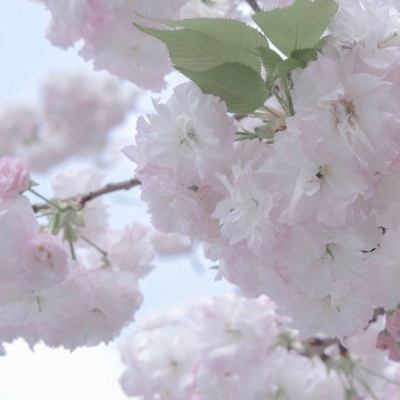 兽设零基础绘画实用教程兽圈社群